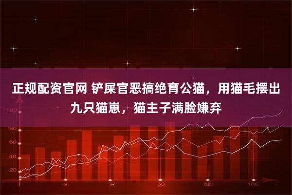 正规配资官网 铲屎官恶搞绝育公猫，用猫毛摆出九只猫崽，猫主子满脸嫌弃