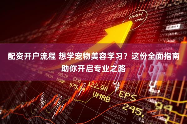 配资开户流程 想学宠物美容学习？这份全面指南助你开启专业之路