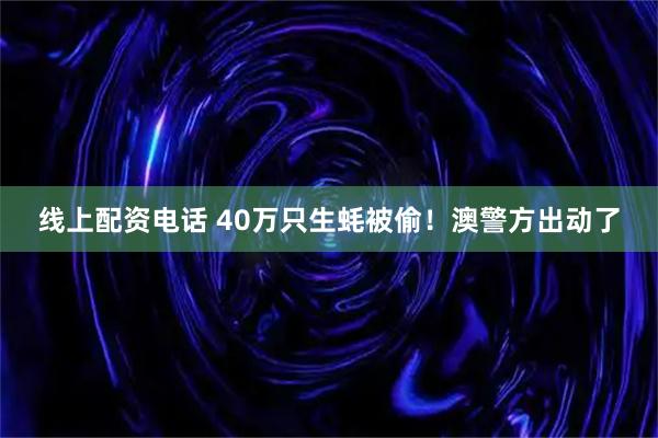 线上配资电话 40万只生蚝被偷！澳警方出动了